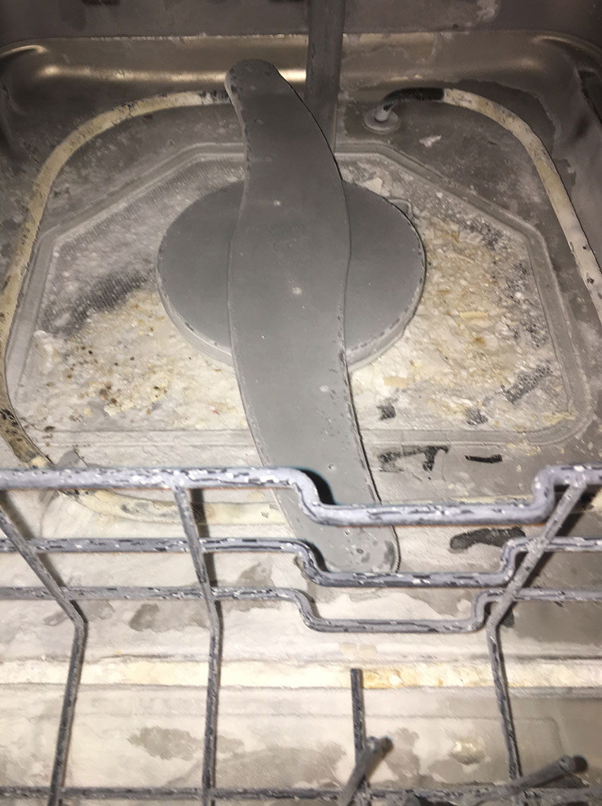 photo of mineral and calcium encrusted dishwasher